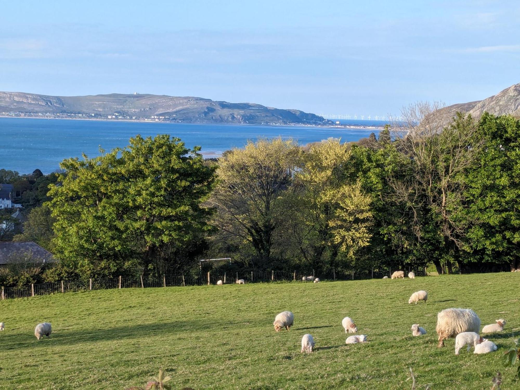 Fantastic Sea Views At Century'S Old Alma'S Cottage - Sleeps Up To 8 Guests Penmaen-mawr Eksteriør billede