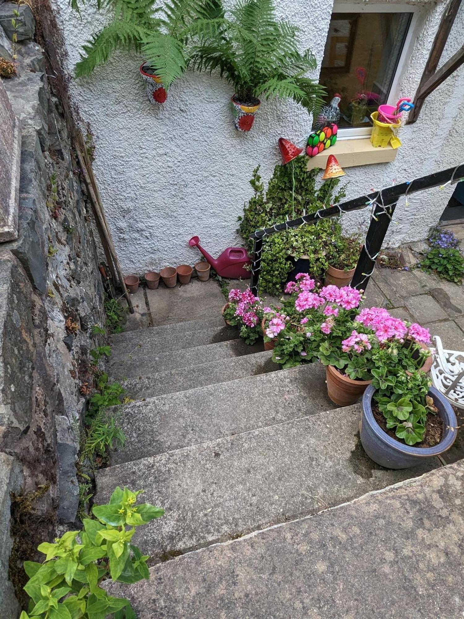 Fantastic Sea Views At Century'S Old Alma'S Cottage - Sleeps Up To 8 Guests Penmaen-mawr Eksteriør billede